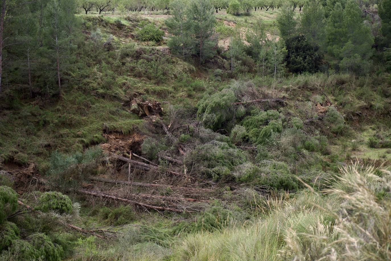 Fotos: Las consecuencias del tornado en Mula