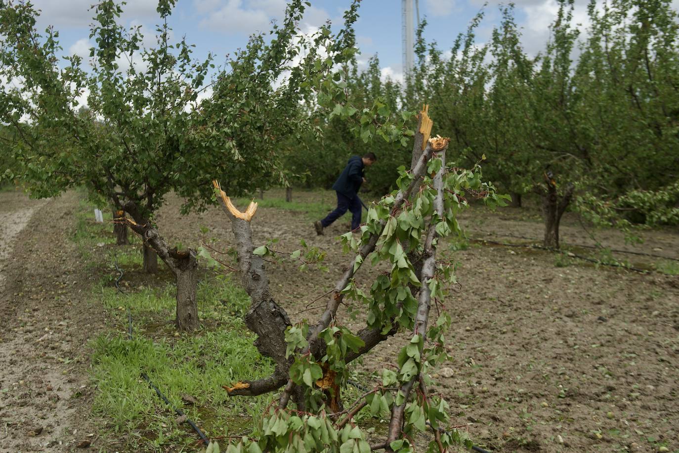 Fotos: Las consecuencias del tornado en Mula