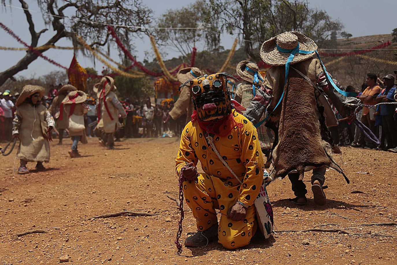 Fotos: Pelea de tigres