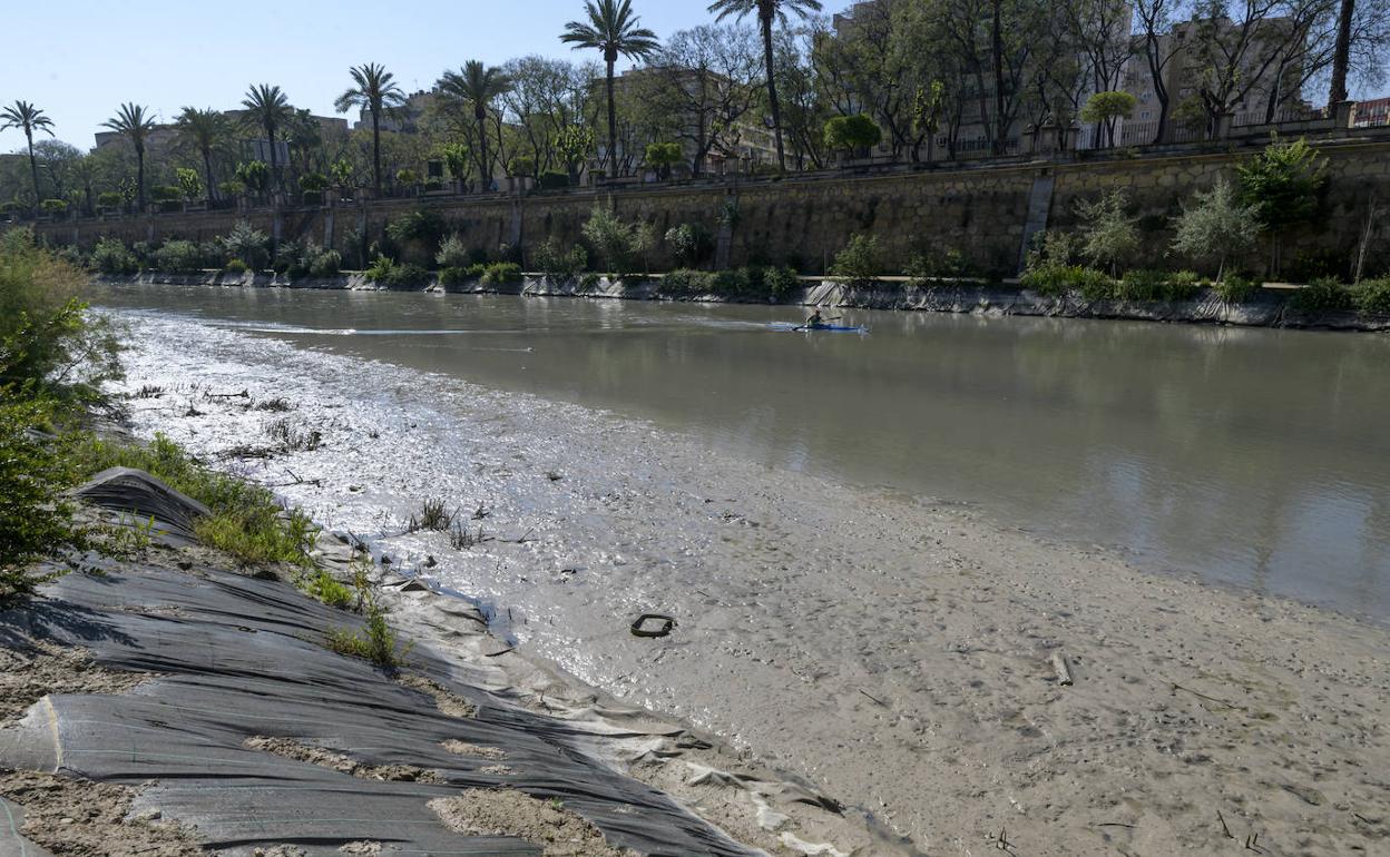 La orilla del río Segura aparece cargada de fangos en Murcia