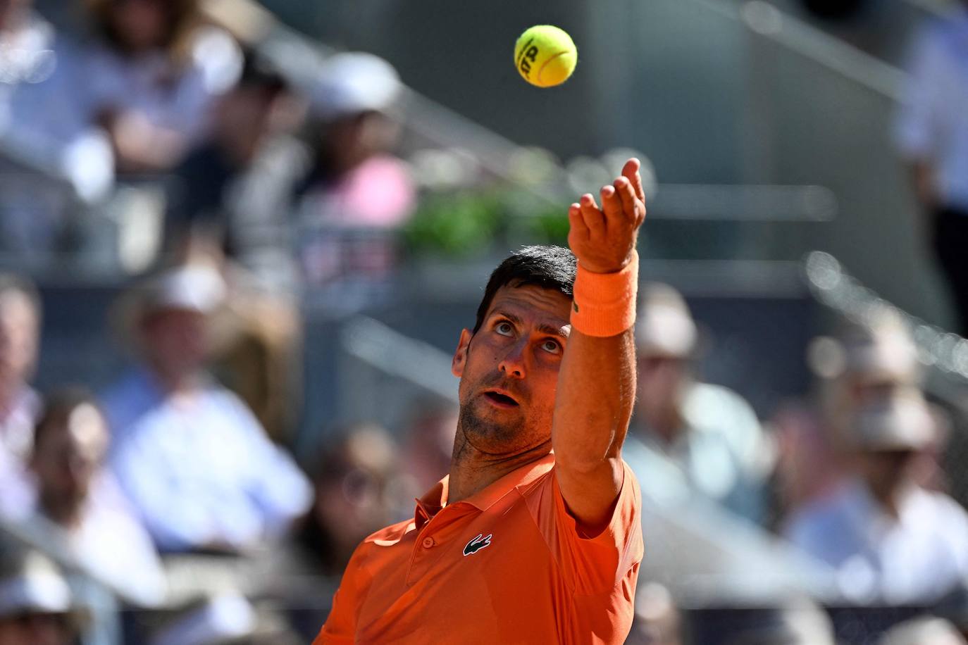 Fotos: La victoria de Carlos Alcaraz ante Novak Djokovic en el Masters de Madrid, en imágenes