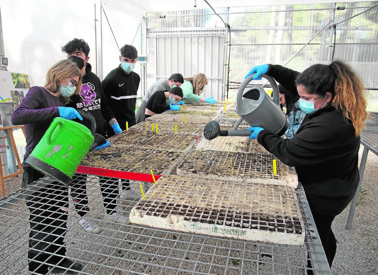 Un grupo de chavales, durante una clase del curso 'Iniciación a la agricultura ecológica', impartido en el centro juvenil de Canteras. 