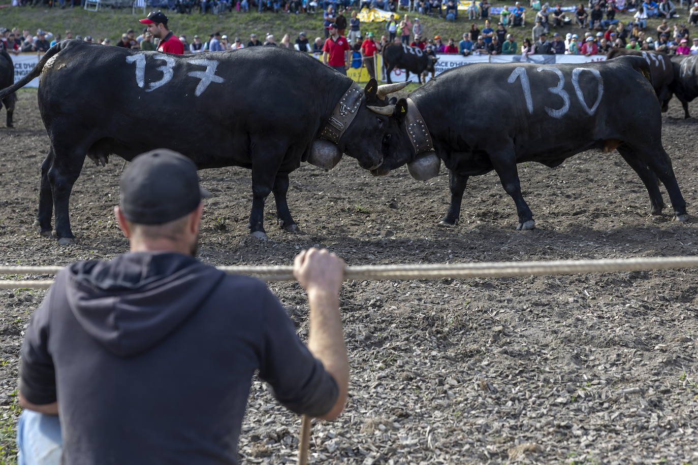 Fotos: Sólo puede quedar una