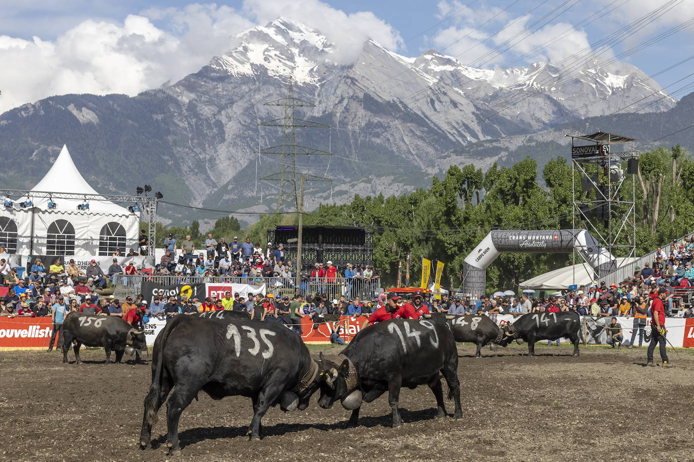 Fotos: Sólo puede quedar una