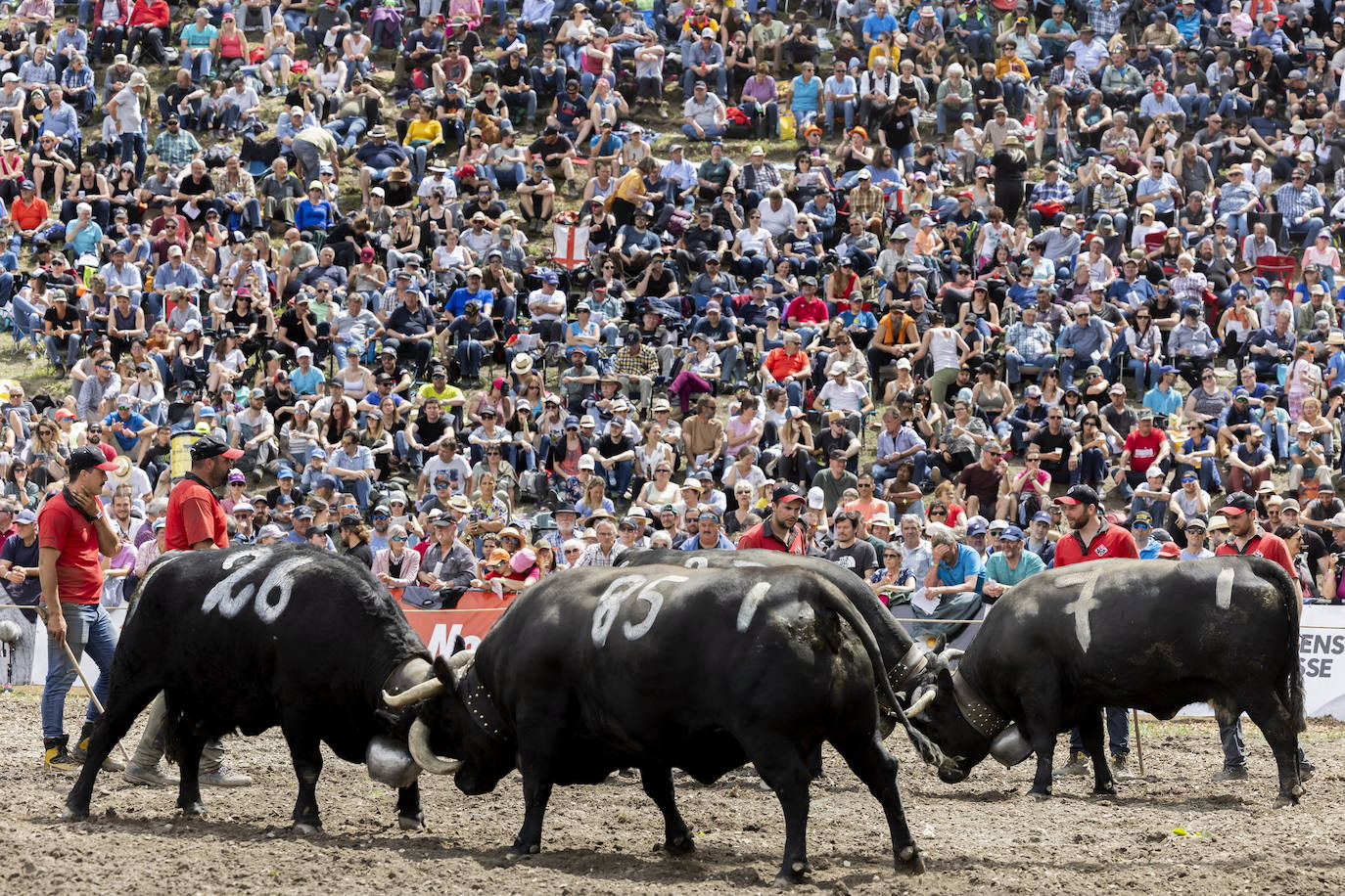Fotos: Sólo puede quedar una