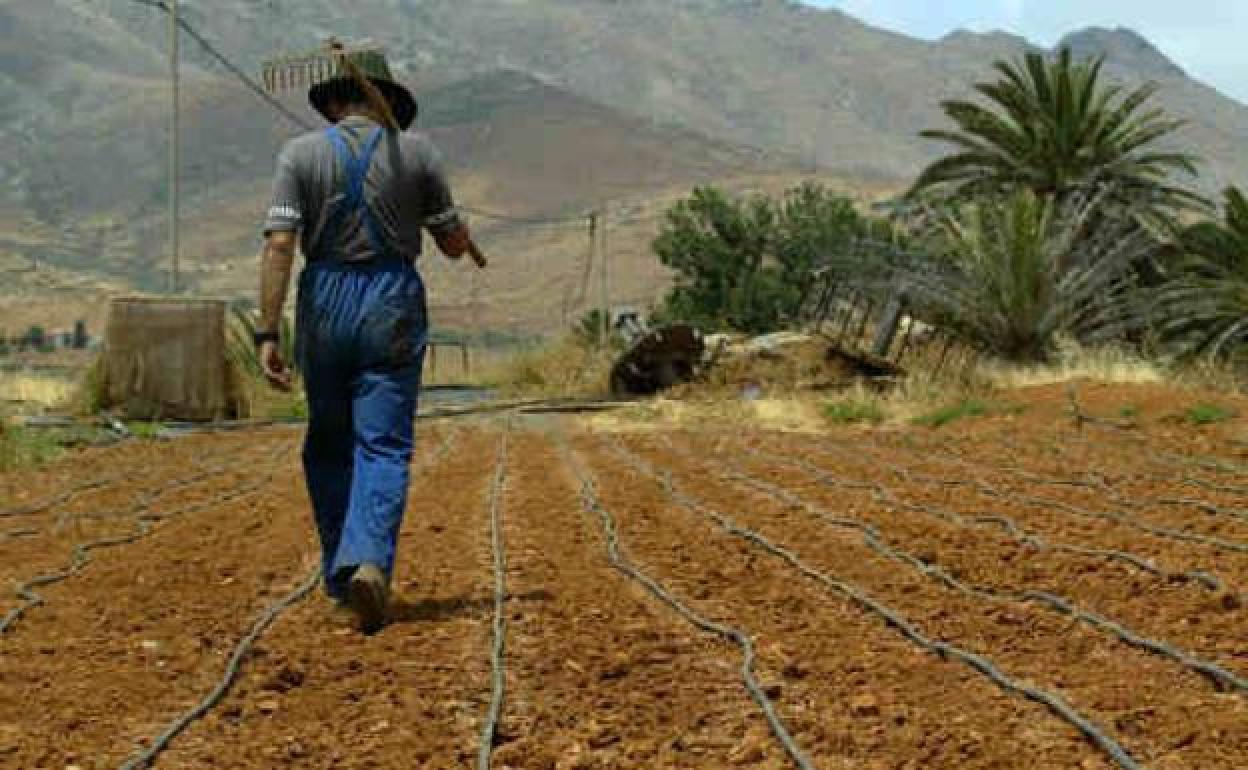 Un agricultor trabajando sus tierras en una imagen de archivo.