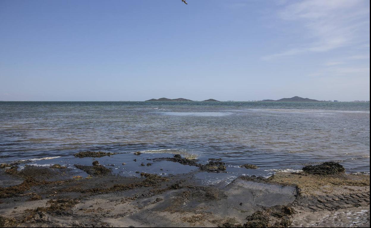 Estado del Mar Menor en la playa de Los Urrutias.