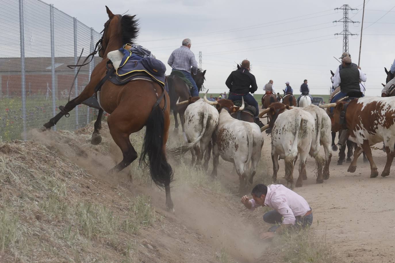 Fotos: 8ª Feria del Caballo