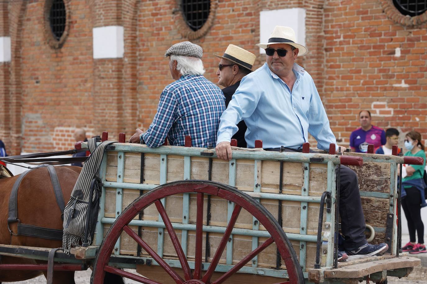 Fotos: 8ª Feria del Caballo