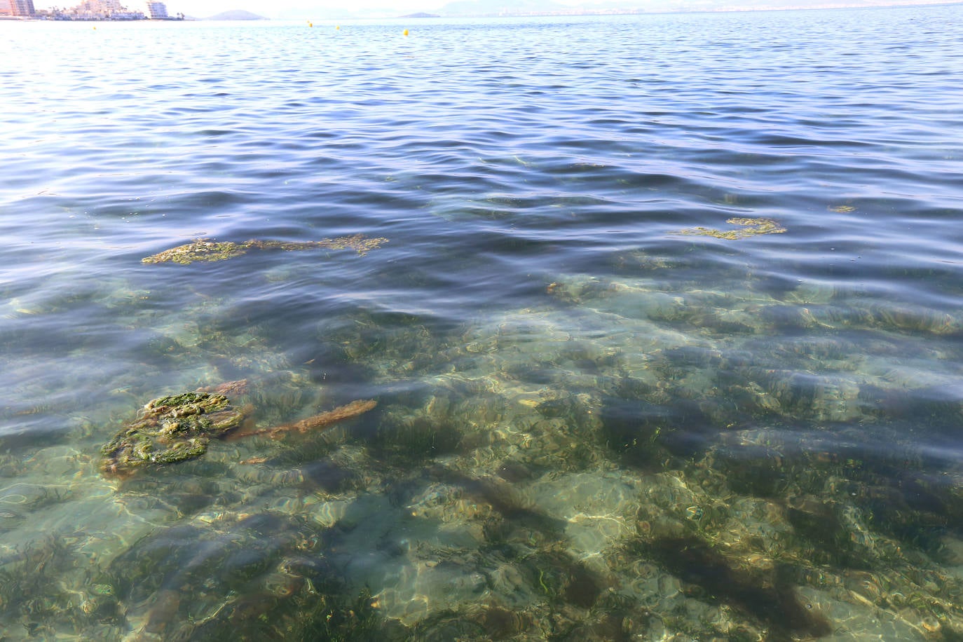 Estado del agua en la zona sur de La Manga. 