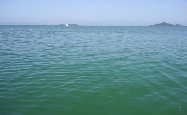 Así está el Mar Menor en la zona de Los Nietos (Cartagena)