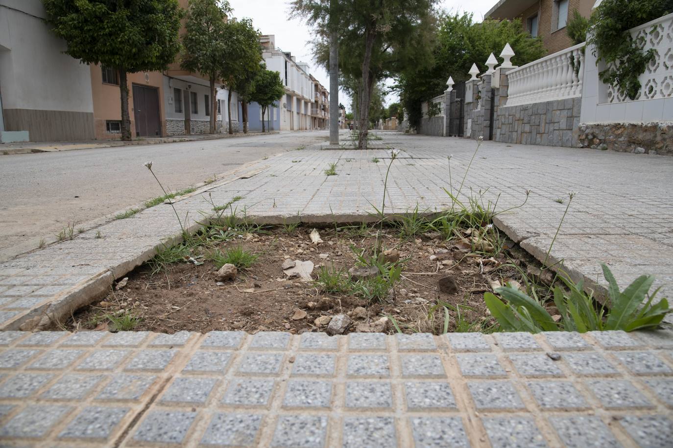 Fotos: Calles destrozadas en Los Nietos y Los Urrutias