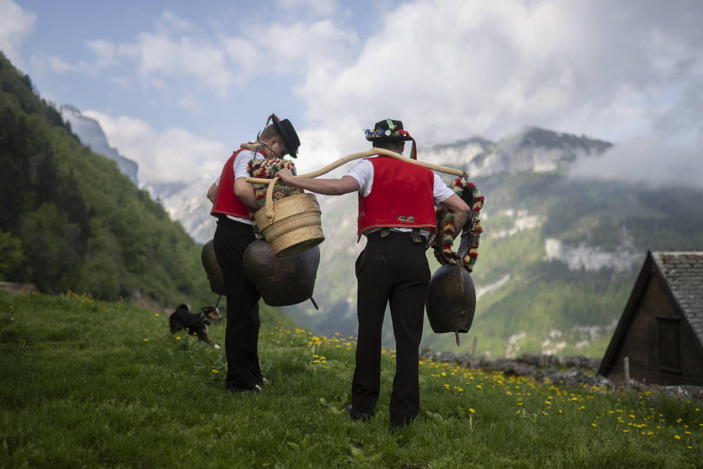 Fotos: Alpaufzug en Suiza