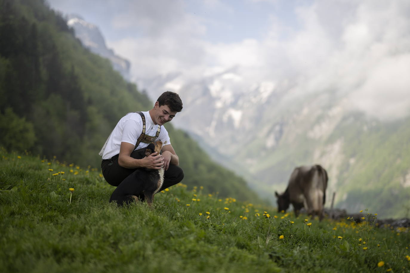 Fotos: Alpaufzug en Suiza