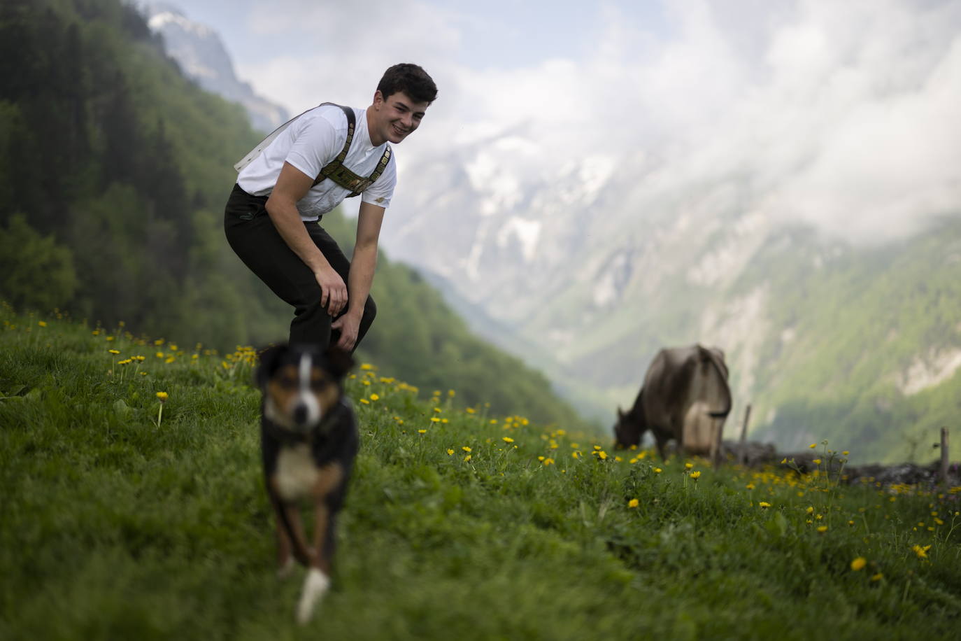 Fotos: Alpaufzug en Suiza