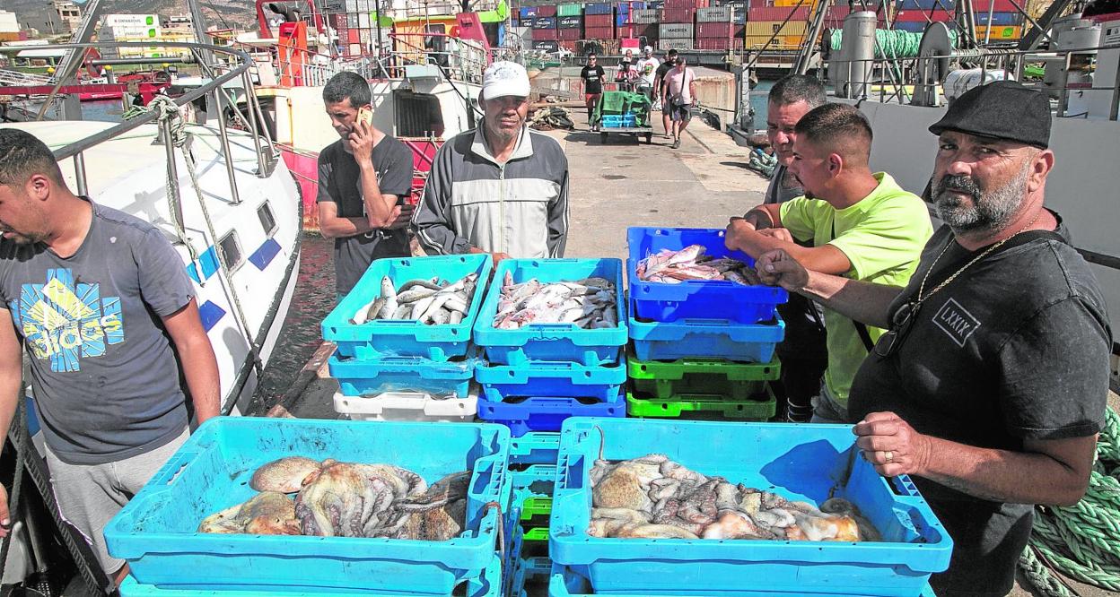 Un grupo de pescadores junto a un carro lleno de cajas de pulpos y pescados recién capturados, en el puerto de la lonja de pescadores. 