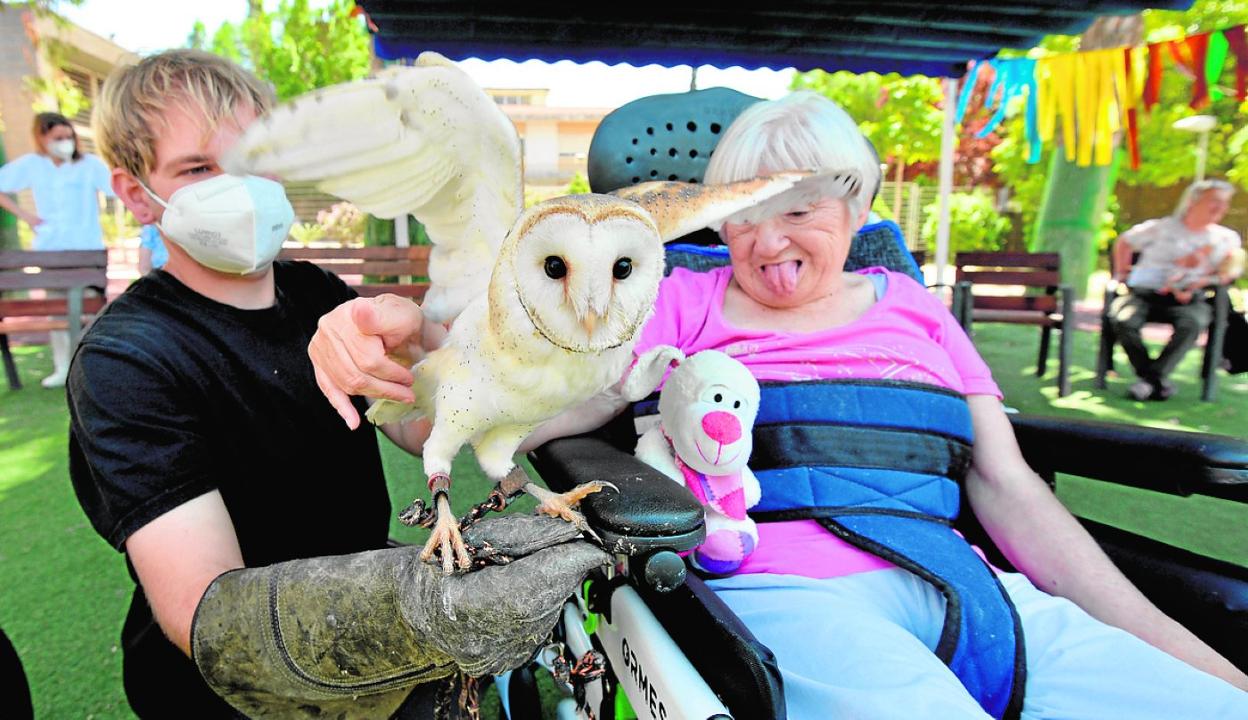 Con rapaces, en Churra