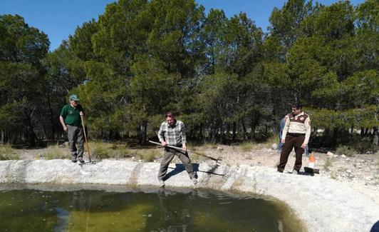 Tres hombres realizan el mantenimiento de una charca. 