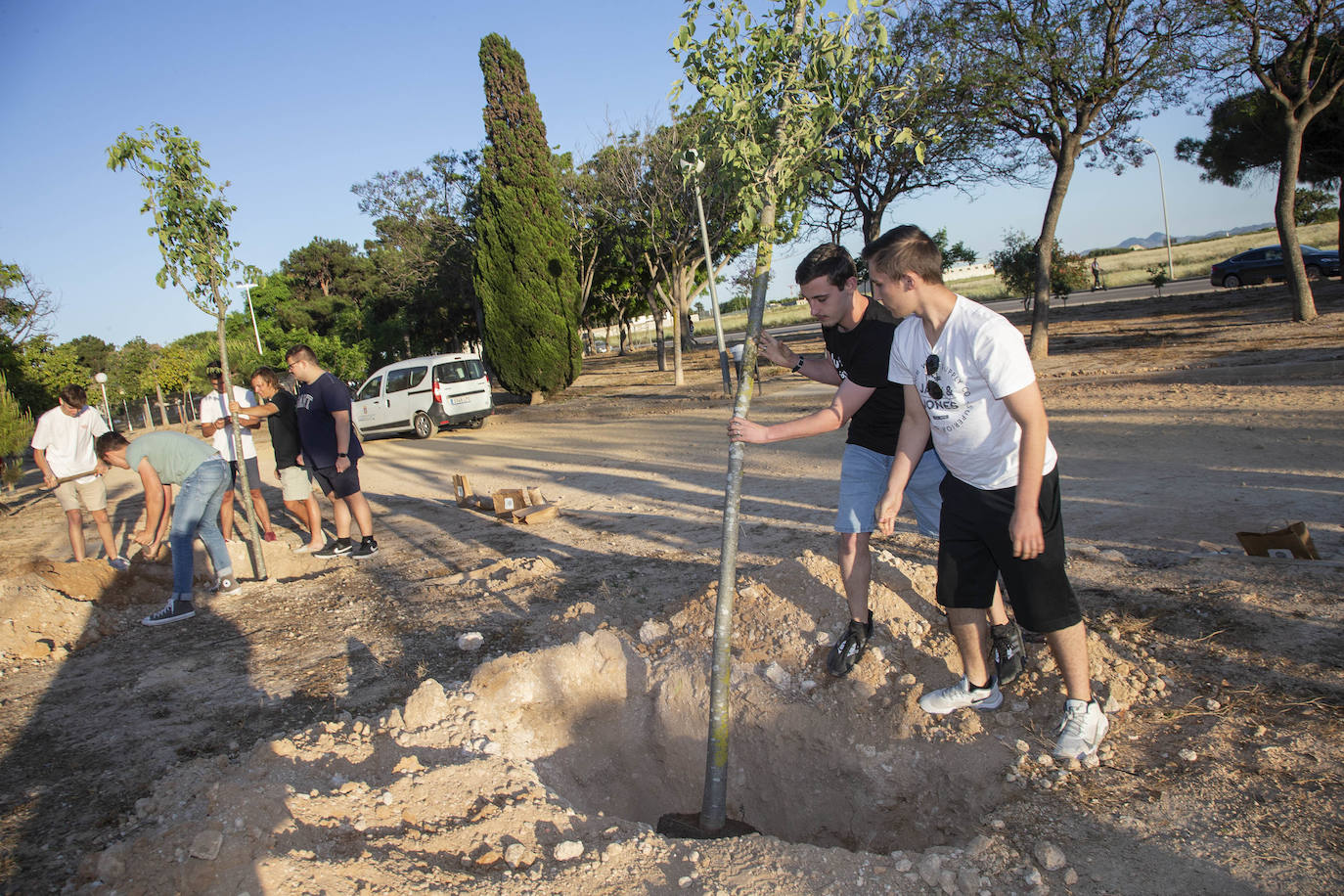 Fotos: Sonidos que dan árboles