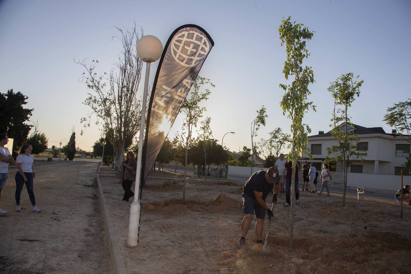 Fotos: Sonidos que dan árboles