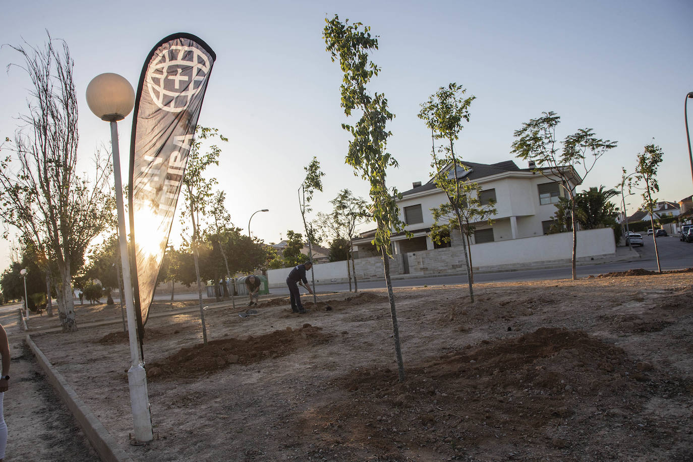 Fotos: Sonidos que dan árboles