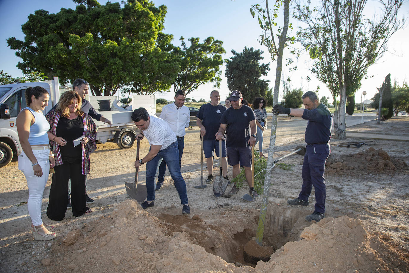 Fotos: Sonidos que dan árboles
