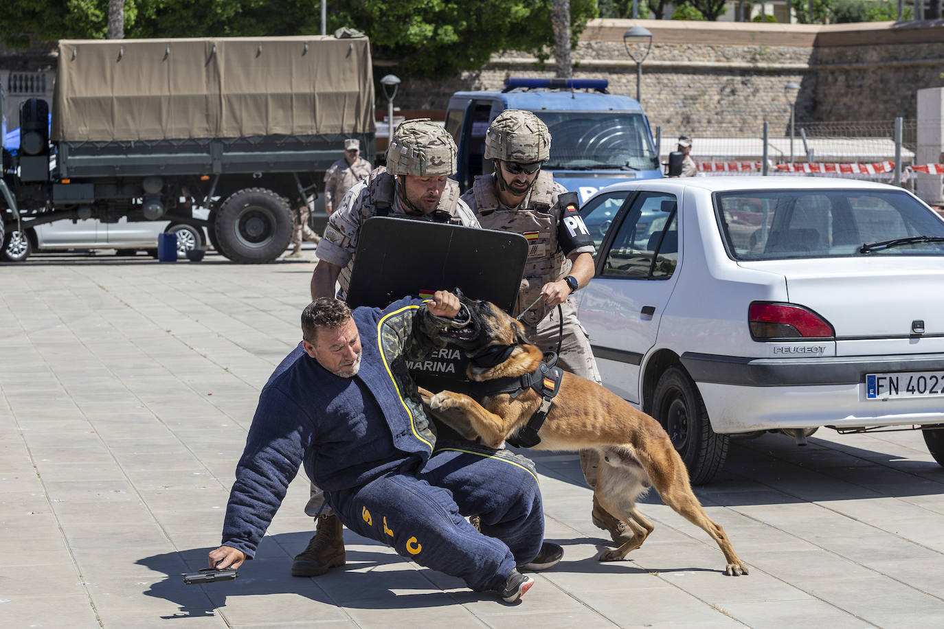Fotos: Cartagena celebra el Día de las Fuerzas Armadas 2022