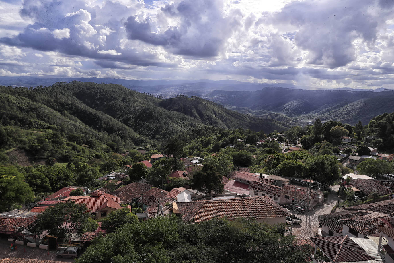 Fotos: Festival de las Flores