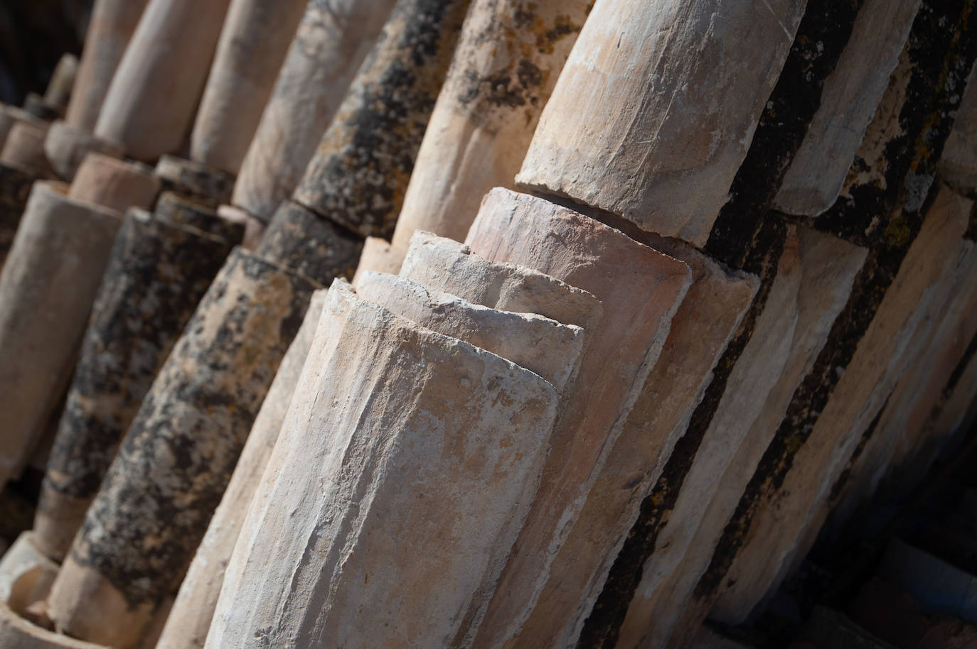 Fotos: Salvan de la ruina las Salinas Reales de Sangonera la Seca