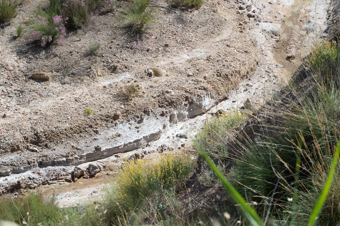 Fotos: Salvan de la ruina las Salinas Reales de Sangonera la Seca