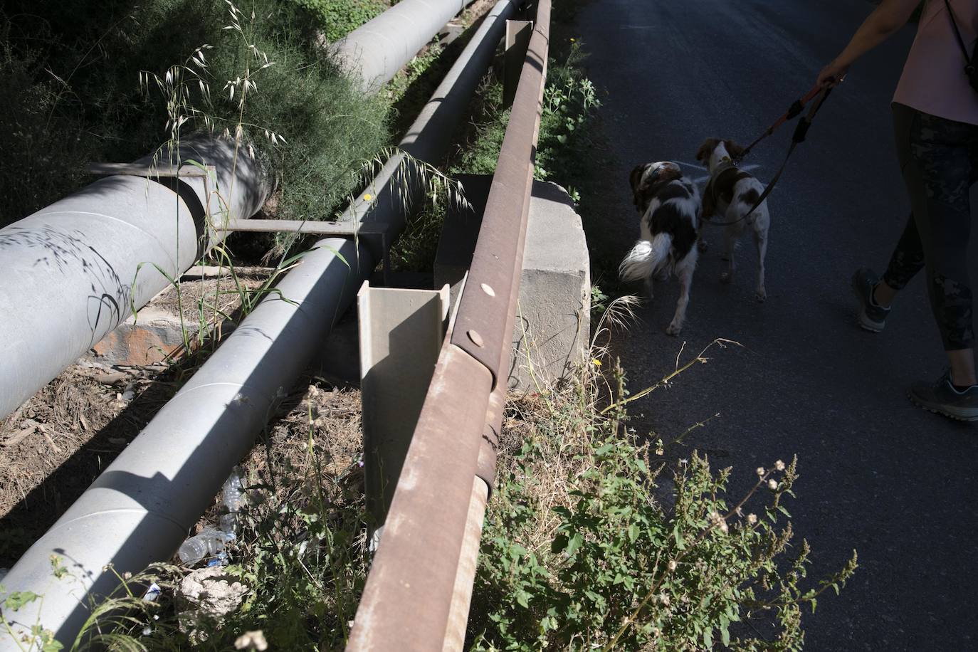 Fotos: &#039;Basuraleza&#039; en la ruta del faro de Navidad en Cartagena