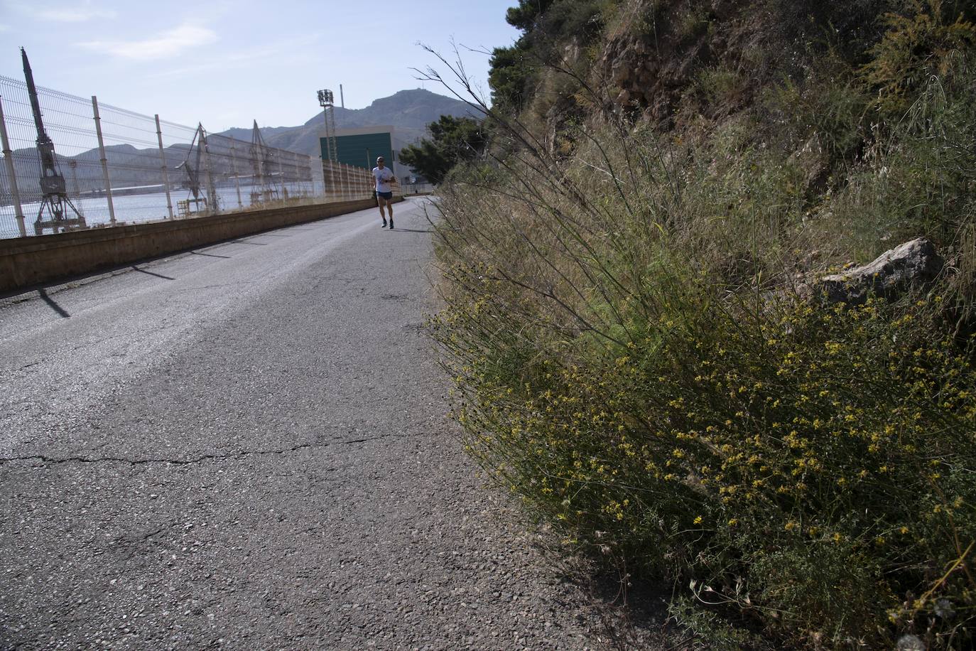 Fotos: &#039;Basuraleza&#039; en la ruta del faro de Navidad en Cartagena