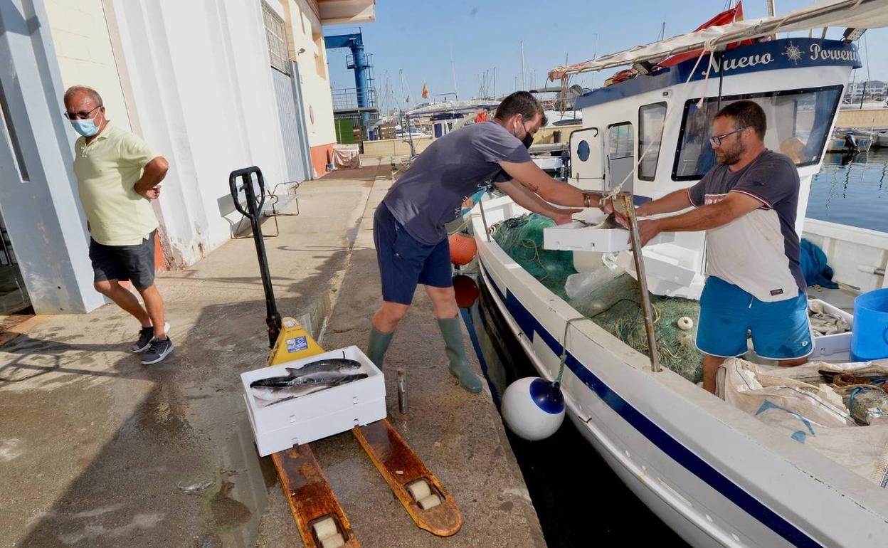 Pescadores de San Pedro descargan en la lonja de Lo Pagán en una imagen de archivo. 