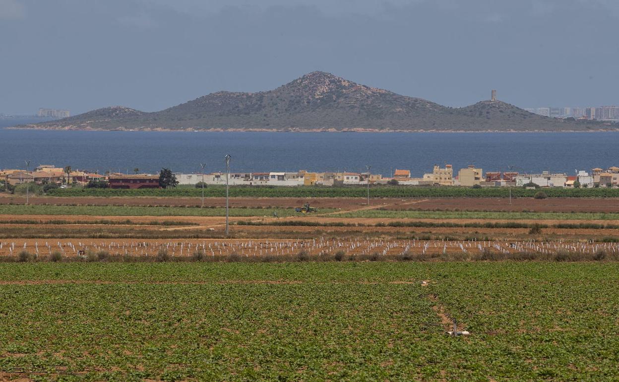 Cultivos de regadío junto al Mar Menor, en Los Nietos (Cartagena).