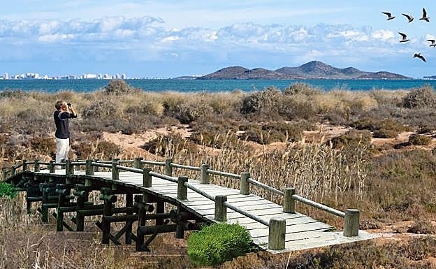 Pasarela elevada contemplada en el plan director.