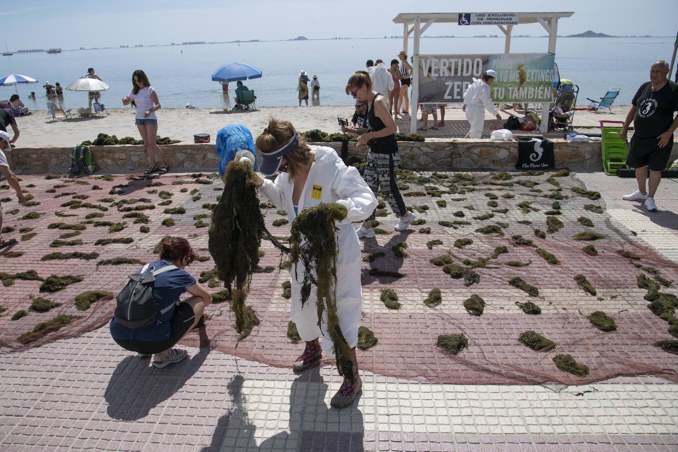 Fotos: Los actos simbólicos de protesta en el Mar Menor por el Día Mundial del Medio Ambiente