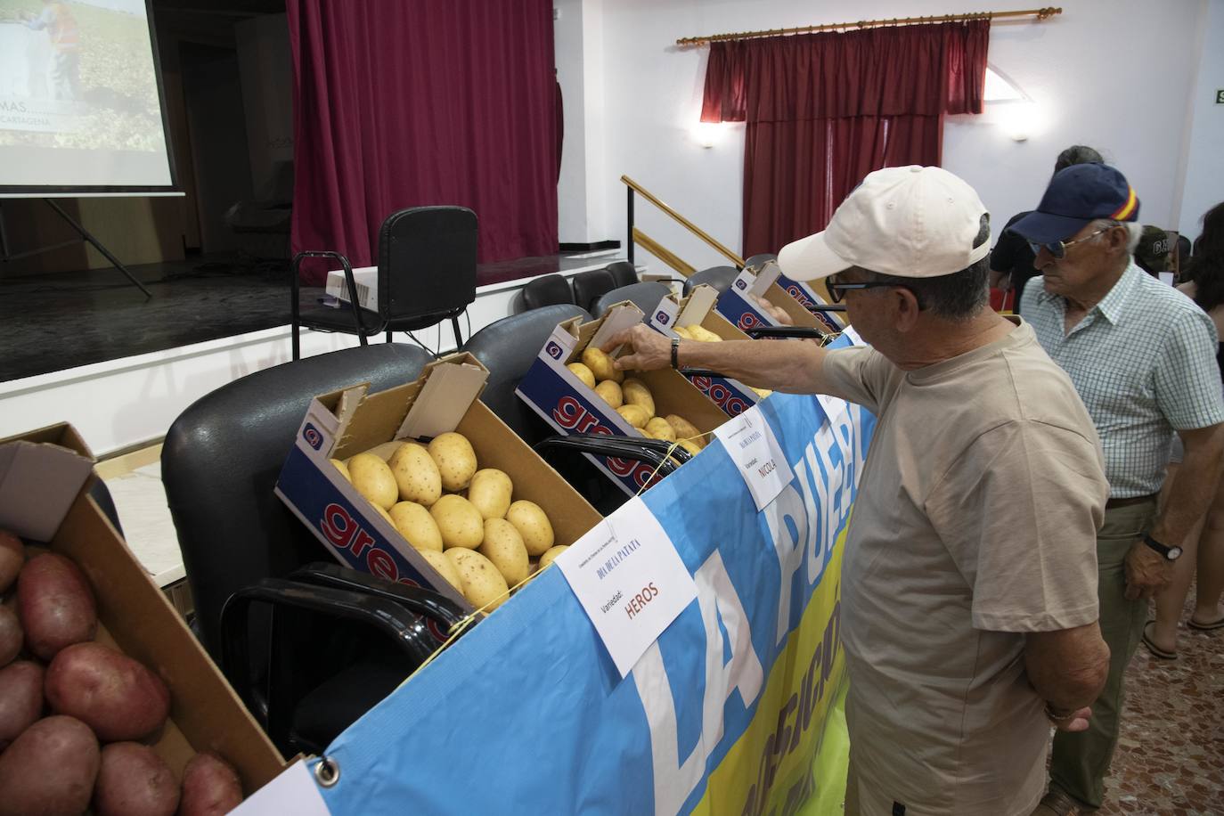 Fotos: La Puebla de Cartagena celebra el día de la patata