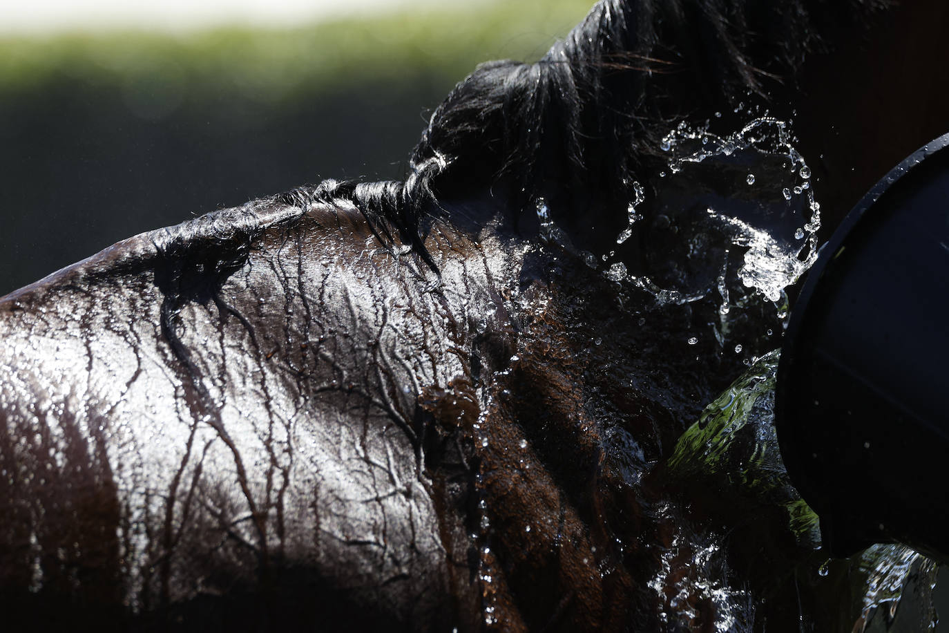 Fotos: Más sombreros que caballos