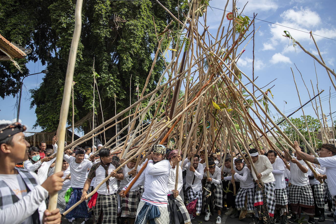 Fotos: El poder de los palos balineses