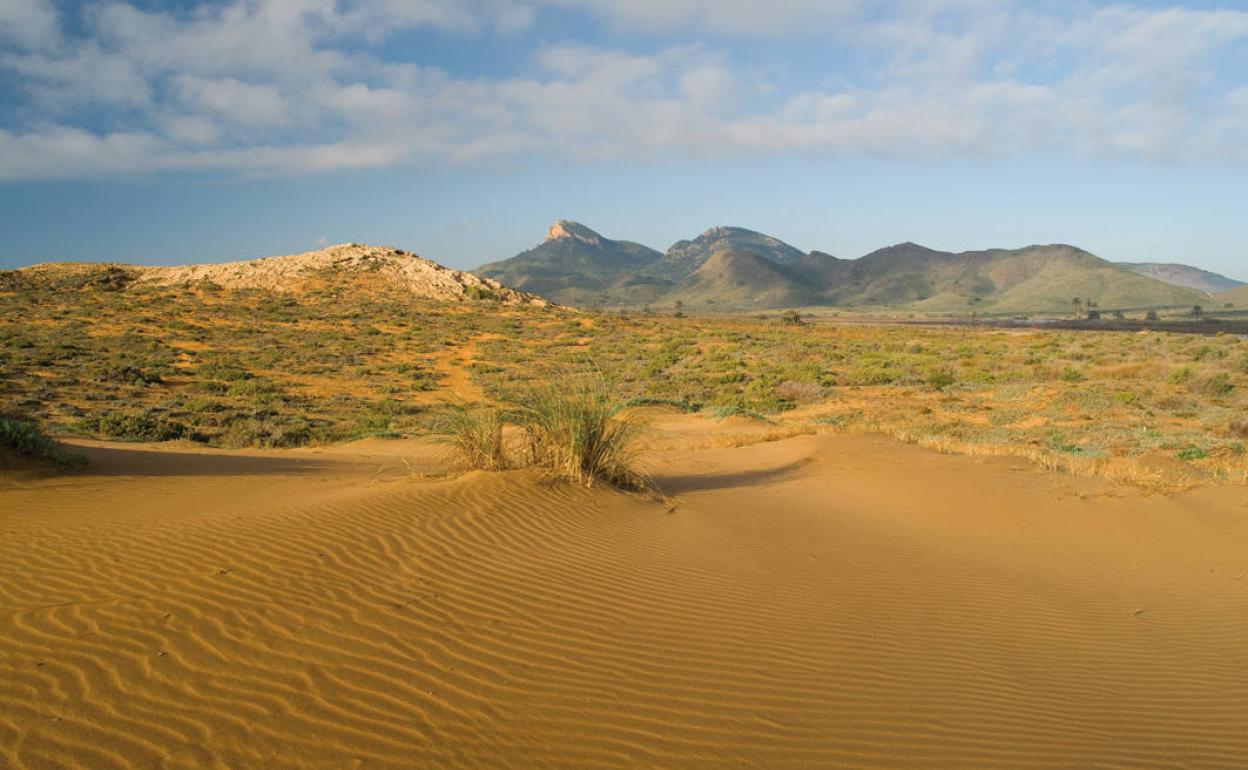 Duna en el Parque Regional de Calblanque, Monte de las Cenizas y Peña del Águila.