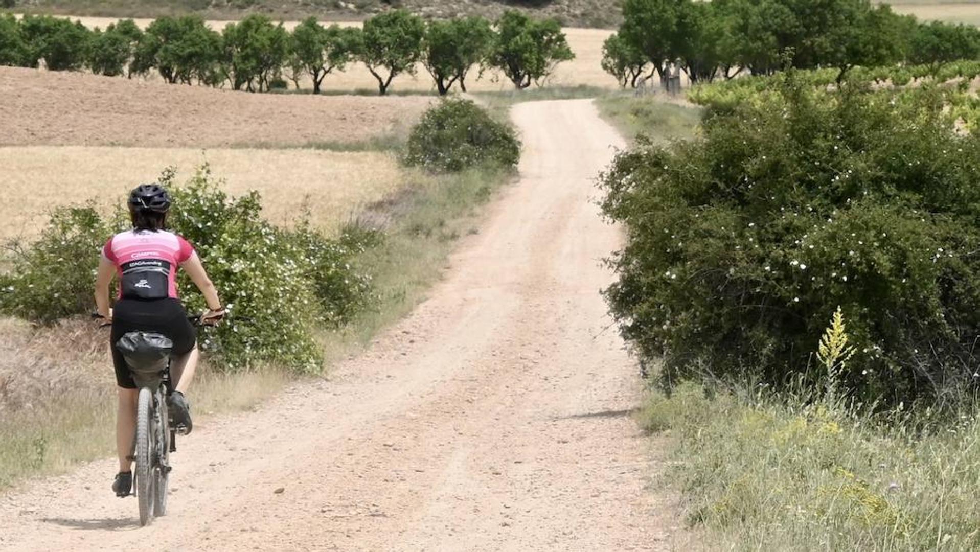 El Camino del Cid en bici | Langa de Duero - El Burgo de Osma: El camino de los holandeses