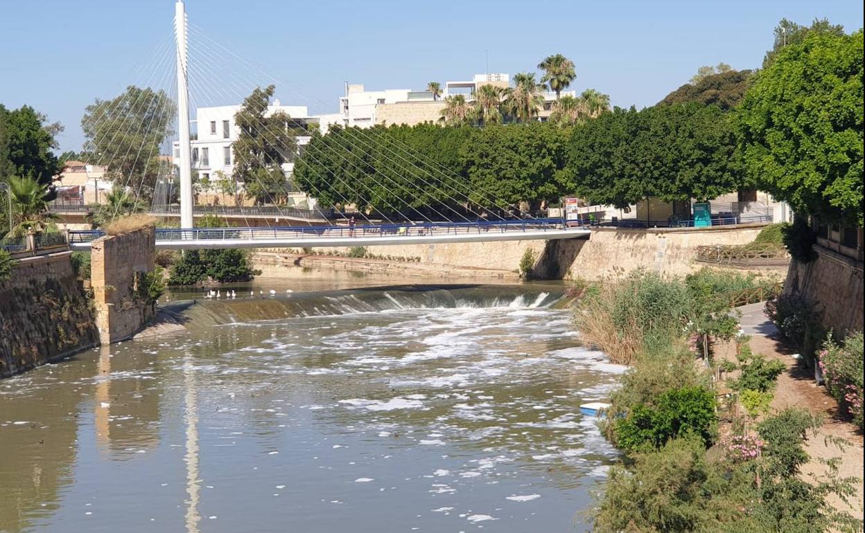 Espuma en el río Segura, este miércoles, en Murcia.