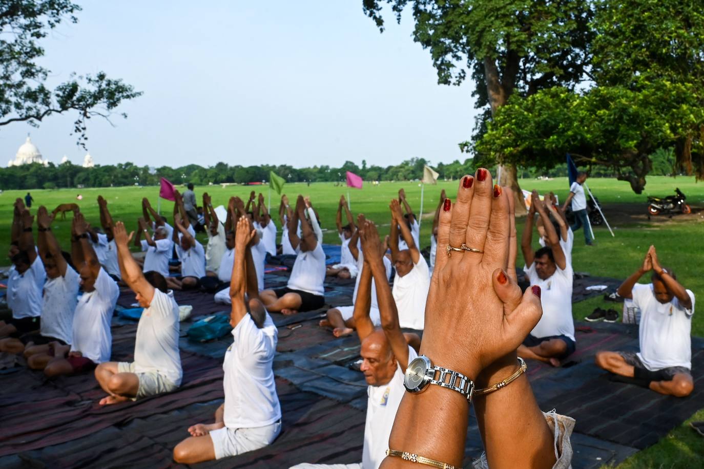 Fotos: La fiesta mundial del yoga