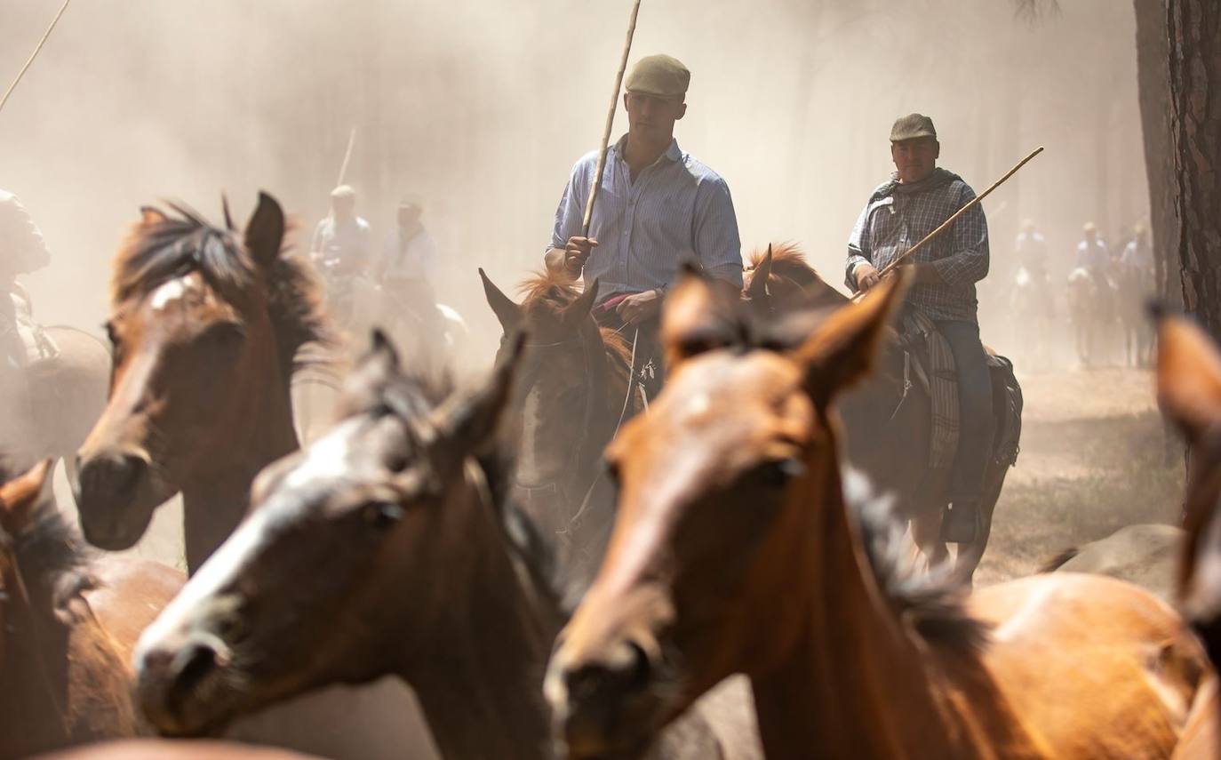 Fotos: Saca de las Yeguas