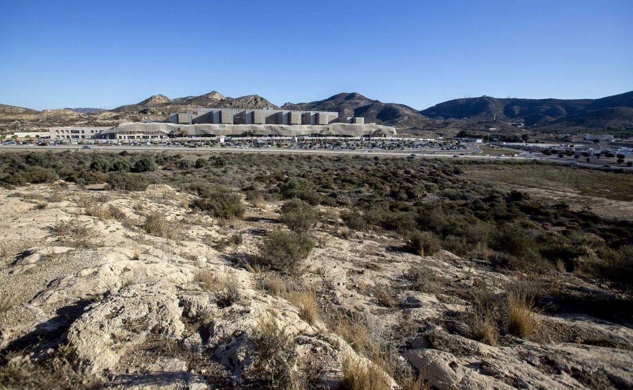 Terrenos ofrecidos para la Ciudad de la Justicia, frente al Hospital Santa Lucía. 