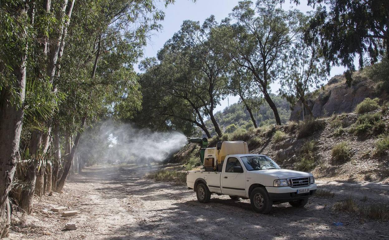 Fumigación de mosquitos en Cartagena en una imagen de archivo. 