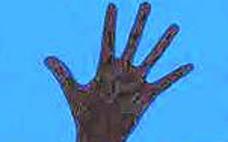 &#039;El mar detrás&#039;