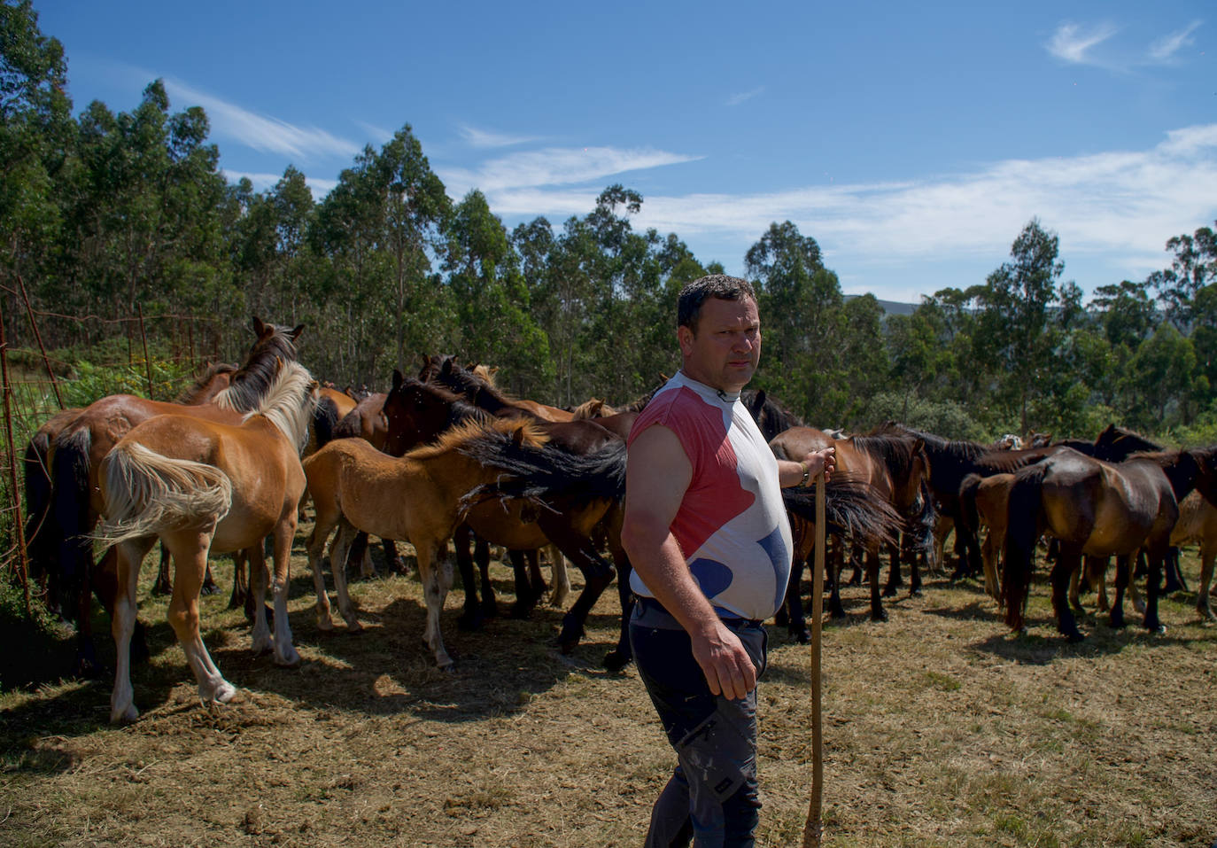 Fotos: Rapa das Bestas 2022