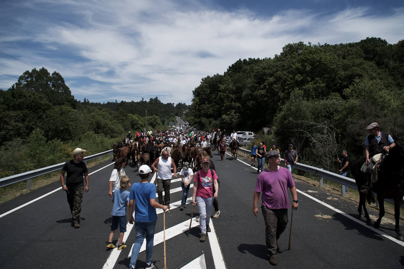 Fotos: Rapa das Bestas 2022