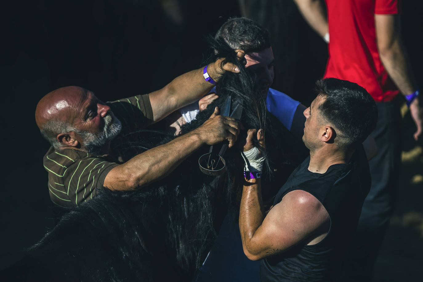 Fotos: Rapa das Bestas 2022